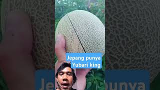 Jepang punya Yubari kingshorts [upl. by Aydan37]