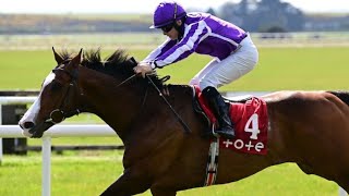 Back with a bang POINT LONSDALE strikes on his return at the Curragh  Racing TV [upl. by Onitnas]