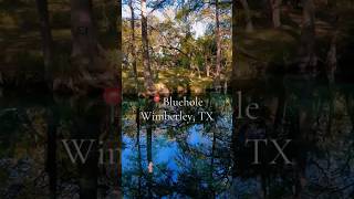 Bluehole Wimberley TX nature texas walkingtrails wimberley naturelovers [upl. by Blanchette978]