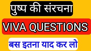 पुष्प की संरचना viva questions Pushap ki sanrachana viva questions [upl. by Laeria298]