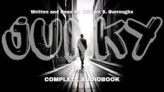 William Burroughs Guides You into the Depths of Addiction in Junky 💉 The FULL Audiobook [upl. by Yetak]