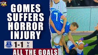 Andre Gomes suffers HORROR Leg Break  손흥 민 Red Card  Everton 11 Tottenham All The Goals Show [upl. by Yadsendew]