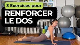 3 Exercices pour Renforcer le Dos [upl. by Nosecyrb756]