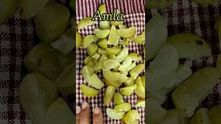 Amla recipe shorts youtubeshorts cooking viral treanding आँवला [upl. by Drofiar]