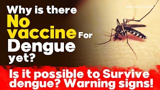 Why is there no vaccine for Dengue yet Is it possible to survive dengue Dengue Malaria signs [upl. by Aprile]