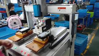 Screw assembly machine for outdoor lighting robotic screw counting machine China factory price [upl. by Bulley967]