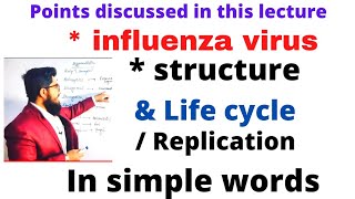 influenza virus  life cycle of influenza virus  replication  made easy by dr uut lectures [upl. by Behl]