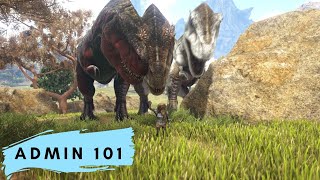 Admin 101 GMSummon amp Imprint Quality Ark Evolved Commands [upl. by Oranneg]