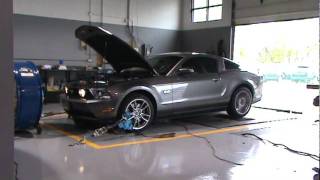 2011 50L Mustang on The Dyno with Kooks Headers  Steedaca [upl. by Chet]