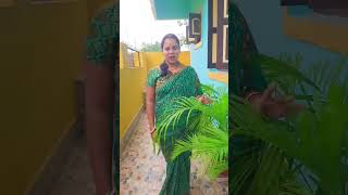 tapari hase tapari base song short video [upl. by Goda]