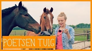 Hoofdstel oppoetsen  PaardenpraatTV [upl. by Nahtanoj]