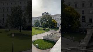 Enjoy a sunny day in one of Vienna’s lively parks shorts vienna travel [upl. by Atirres]