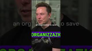 Elon Musk critica OpenAI Sottotitoli  Trascrizione in descrizione [upl. by Yekcim]