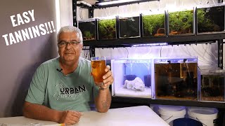 How to add easy Tannins to your aquarium [upl. by Claus]