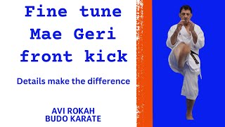 Fine tuning Mae Geri  front kick [upl. by Nitsreik]