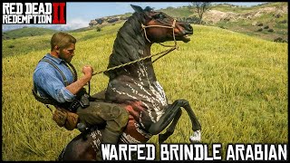 The WARPED BRINDLE Arabian  Red Dead Redemption 2 Story Mode [upl. by Rawdin]