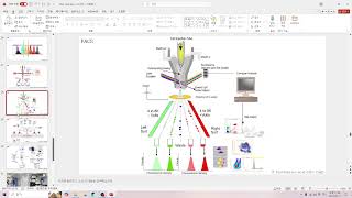 라이브 랩미팅 79 Flow cytometry amp FACS gating strategy [upl. by Culbert]