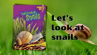 Read aloud Lets look at snails  BBL  Snail facts for kids  kids reading  Snail book [upl. by Oileduab212]