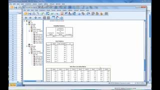 Calculating and Interpreting Cronbachs Alpha Using SPSS [upl. by Eirdua]