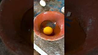 Infertile Eggs For Chicks [upl. by Aninat269]