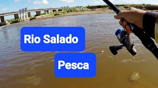 2 días en El Rio Salado Pesca y Exploración hay Lisas y Pejerrey Tarariras y Carpas [upl. by Dituri587]