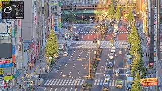 Japan Shinjuku Tokyo  Kabukicho Crossing 4K Cam 🔴 [upl. by Bohs505]