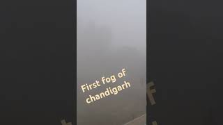 Fog 2024chandigarh winter punjabisong punjabi [upl. by Nahs918]