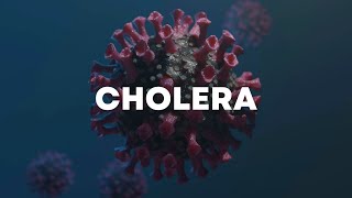 Cholera Causes Symptoms Treatment and Prevention Explained [upl. by Treboh274]