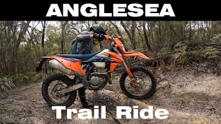 Anglesea Trail Ride [upl. by Ojibbob435]