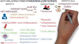 ANTIINFLAMMATOIRES STÉROÏDIENS CORTICOÏDES  Lessentiel [upl. by Maighdlin]