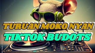 TURUAN MOKO NYAN TIKTOK BUDOTS 2024 [upl. by Euqor67]