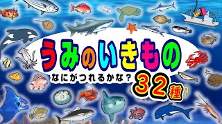 【子供が喜ぶ水族館】海の生き物 お魚さんたちが大集合！何が釣れるかな？20種以上！さかなの名前ずかん★サメ・クジラ・カニ・たこ・マンタ★未就学児向け教育｜Fish【知育動画】sea animals [upl. by Ynohtnakram]