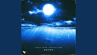 Drown ft Meggie York [upl. by Nohtiek]