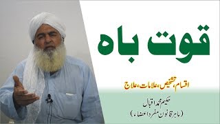 Quwat e Bah ka Elaj ● مجربات قوت ● Hakeem Muhammad Iqbal [upl. by Hpeseoj]