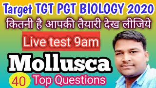 Live test Phylum mollusca tgt pgt biology  Top 40 Quesions [upl. by Sydalg]