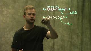 Monomers and Polymers [upl. by O'Callaghan]