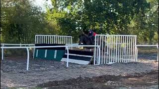 Varinia schooling with Charlie Hammond [upl. by Norvun]