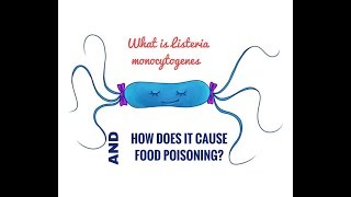 What is Listeria Monocytogenes [upl. by Aihsek271]