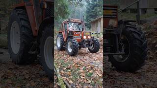 Fitagri 8090 am Holzschleiken 🚜🌲🪓 fiatagri wald holzbearbeitung [upl. by Suoicerpal698]