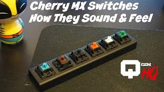 Cherry MX Switches How They Sound amp Feel Blue Red Brown Green Black White [upl. by Landahl690]