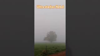 Ultra starker nebel [upl. by Nivla]