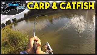 Catfish and Carp Fishing [upl. by Hanford488]