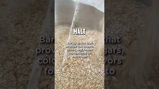 Malt  the barley grains that are foundational to beer 🍺 beer homemade [upl. by Gwenn811]