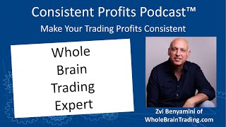 Whole Brain Trading Expert  Zvi Benyamini – Episode 070 [upl. by Ynohtona]