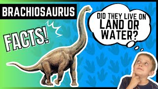 BRACHIOSAURUS  Educational Dinosaur FUN Facts FOR KIDS [upl. by Reiniar]