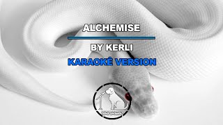 Alchemise  Kerli Karaoke Version [upl. by Yuille]