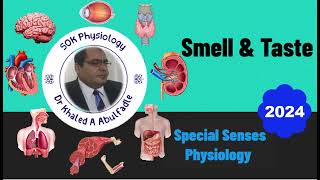 Smell amp Taste Physiology 32024 by Dr Khaled A Abulfadle [upl. by Essile]