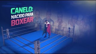 Julio César Chávez Jr le ganó al Canelo Álvarez en boxeo virtual [upl. by Sidoney]