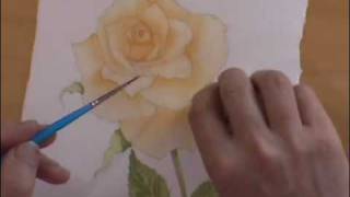 How to Paint a Rose [upl. by Ingram503]