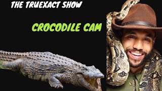 TruExact Show  Ep 197 CROCODILE CAM [upl. by Koeppel404]